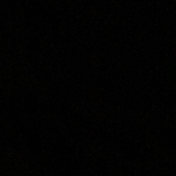 Meet your Posher, Kamryn - Picture 1 of 1